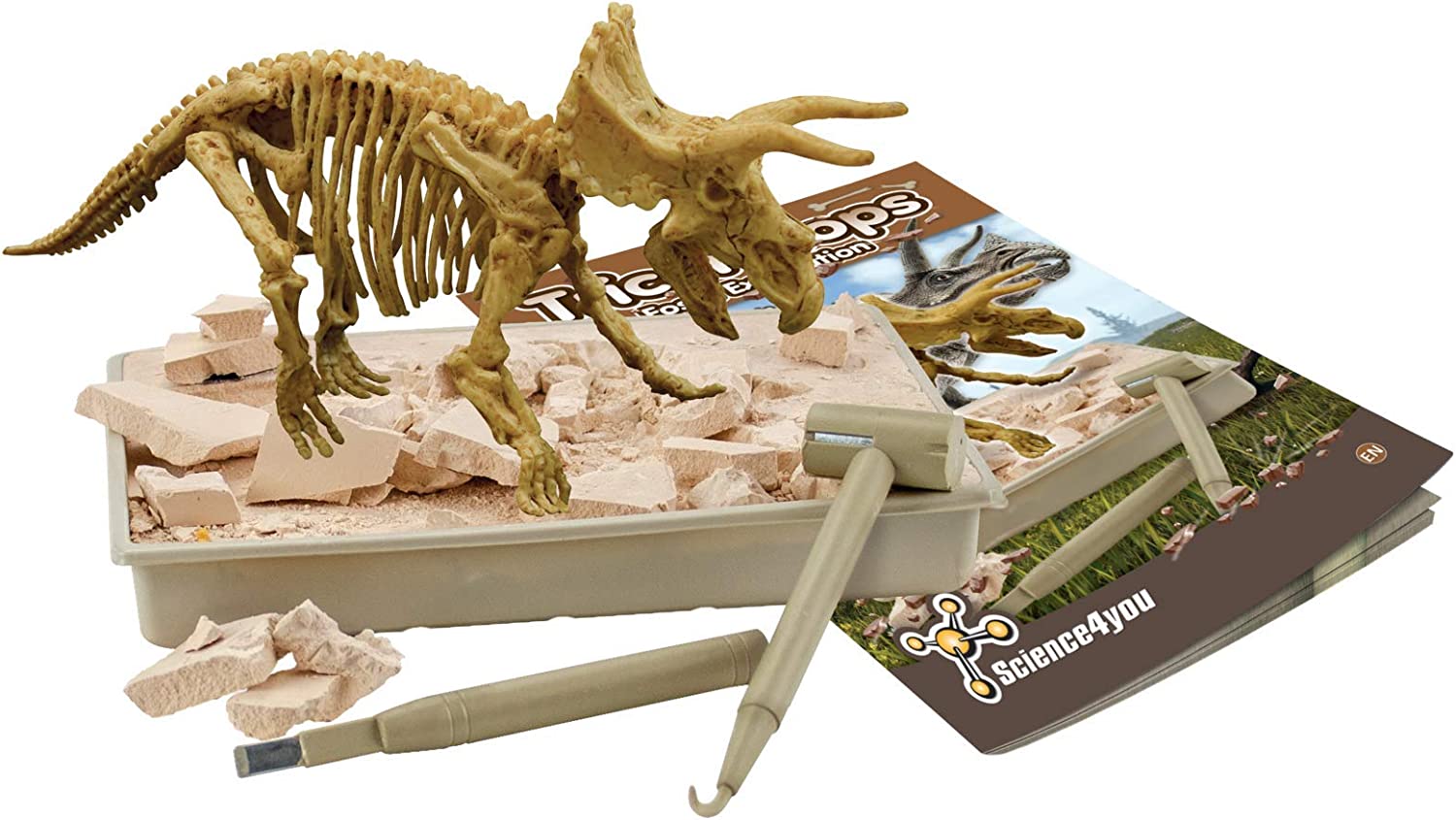 Triceratopo fossile da scavare