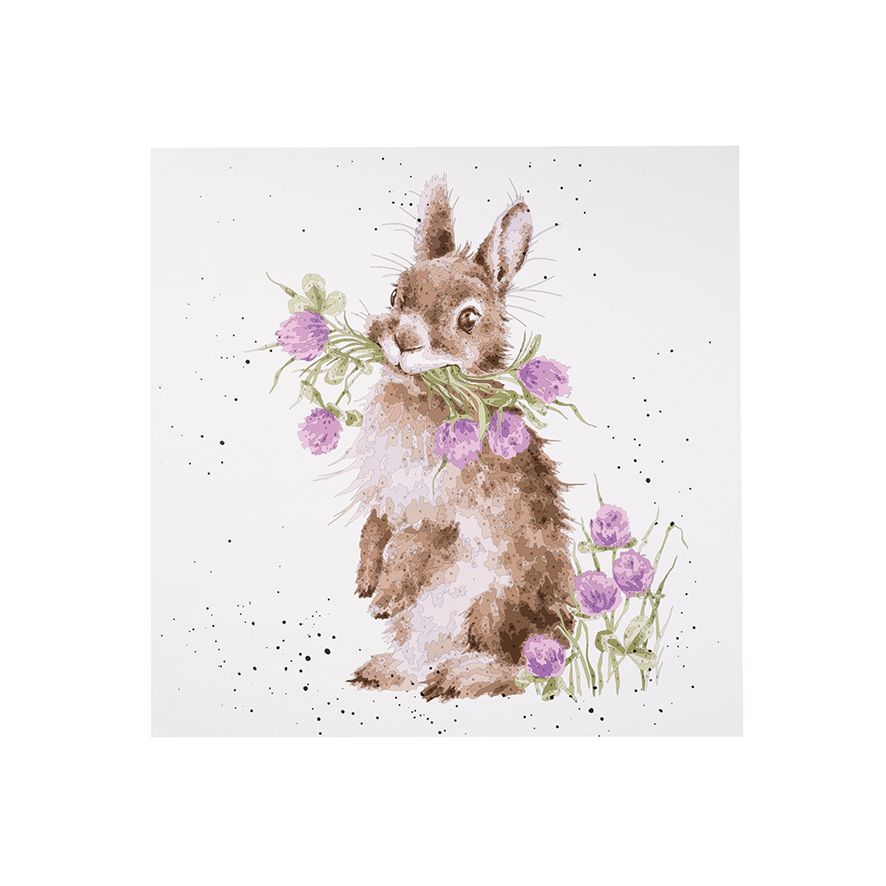 Dipingi con i numeri Rabbit