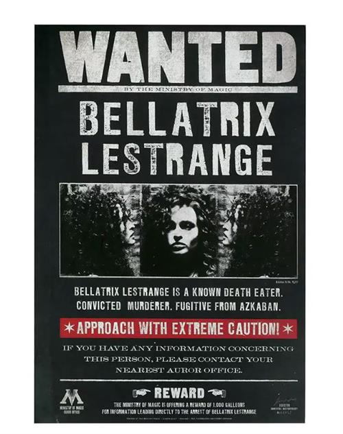 Quaderno Ricercato Bellatrix Lestrange
