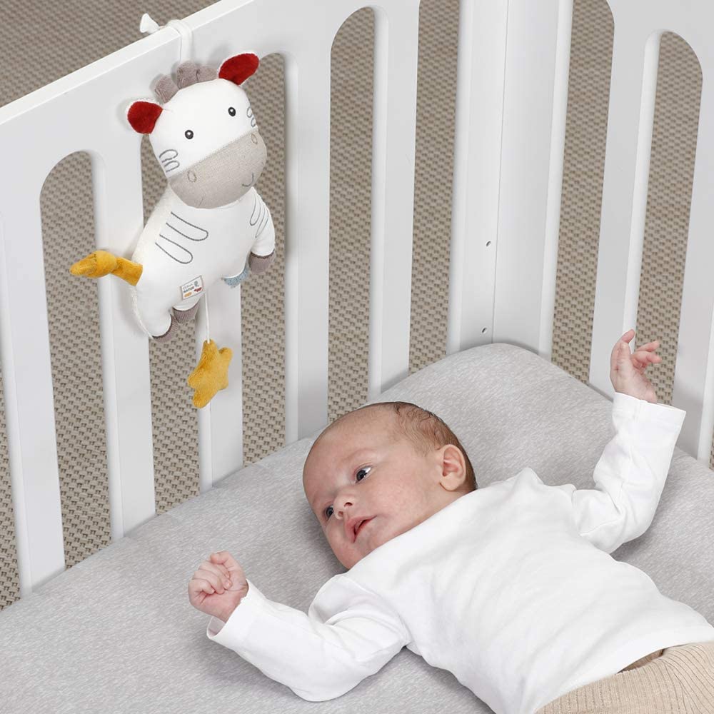 Zebra carillon in cotone bio
