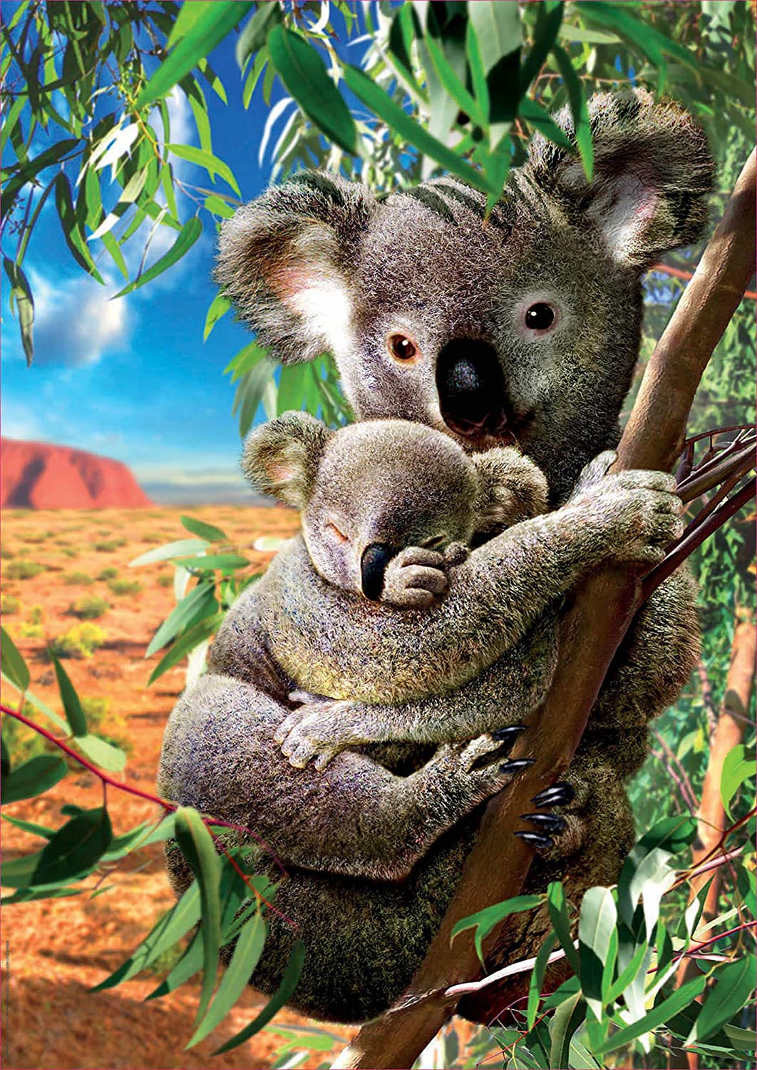 Koala con cucciolo 500 pezzi
