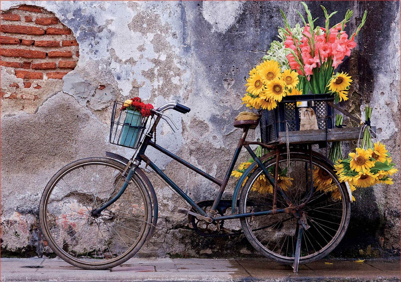 Bicicletta con fiori 500 pezzi