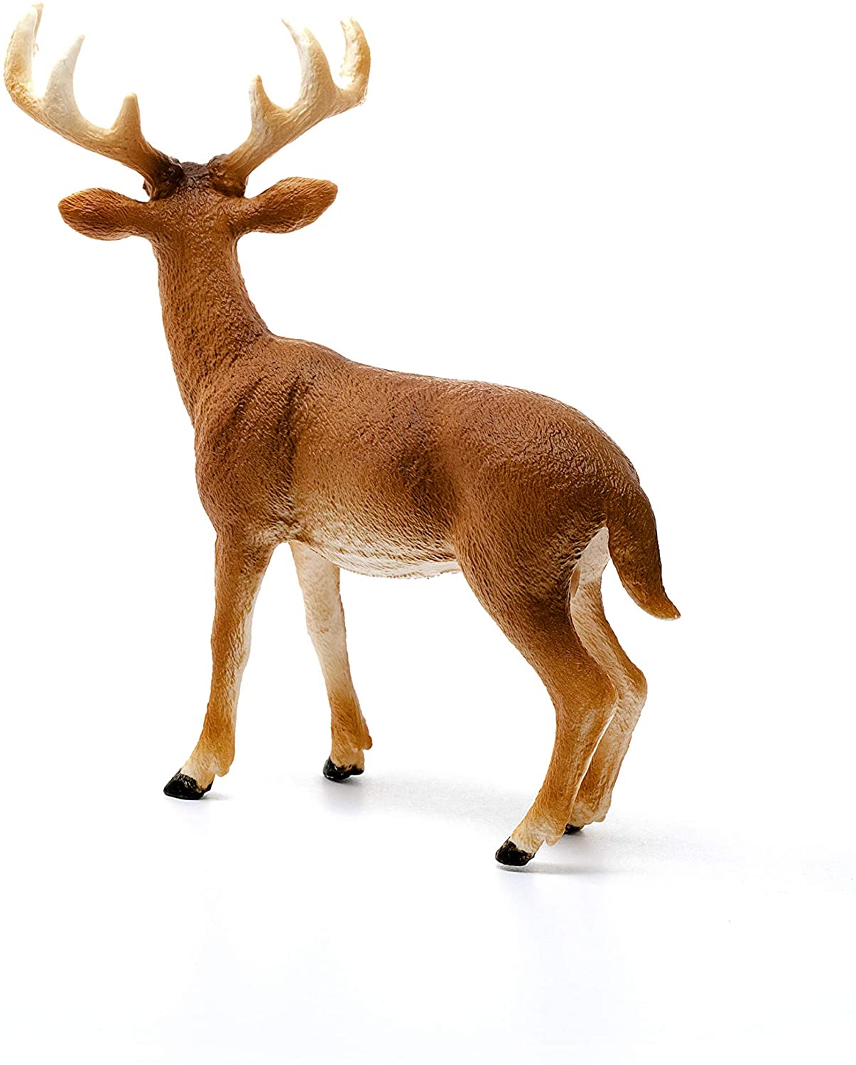 Cervo Virginiano