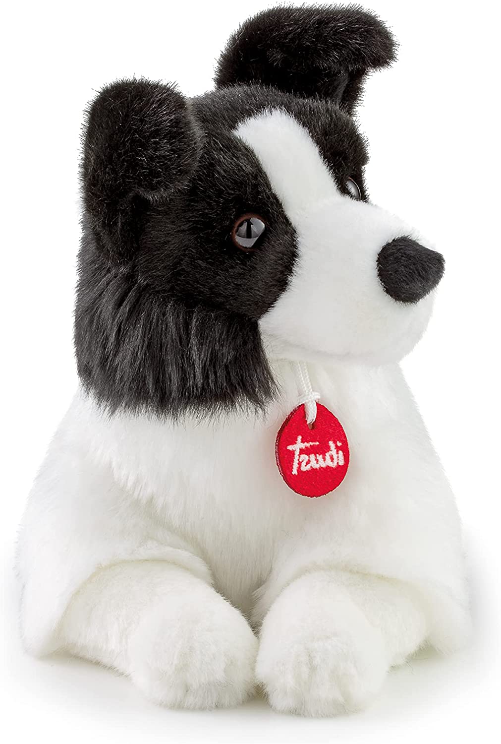 Border collie Scott medium