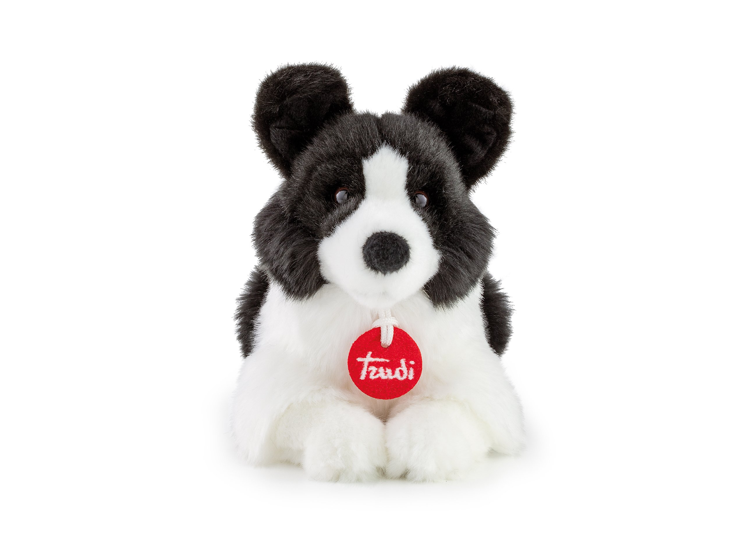 Border Collie Scott small