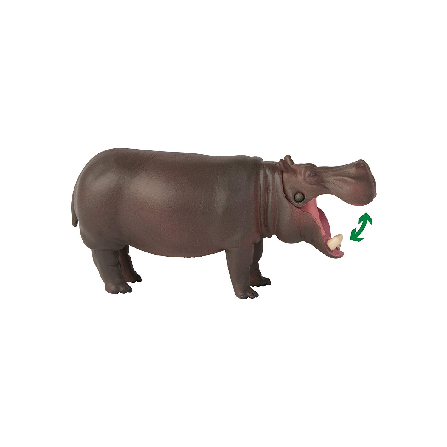 Ippopotamo