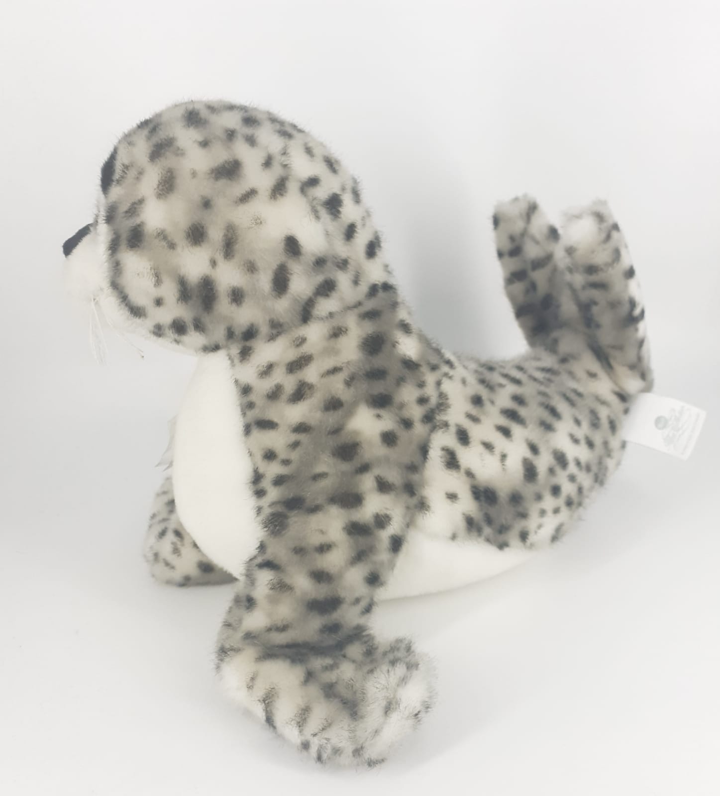foca silver collection