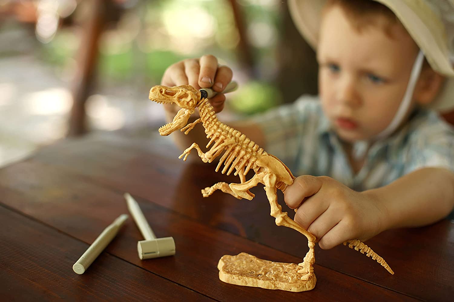 T-rex fossile da scavare