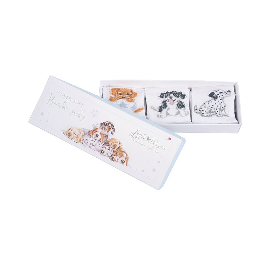 Set di calzini per bebè Little Paws 6-12 mesi