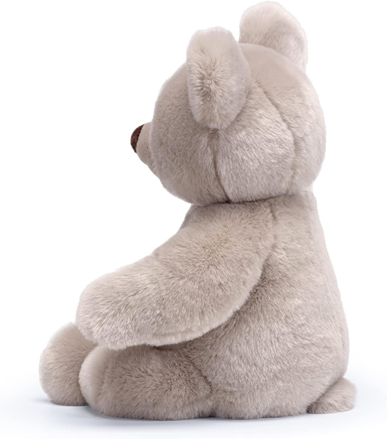 Orso Brando XL