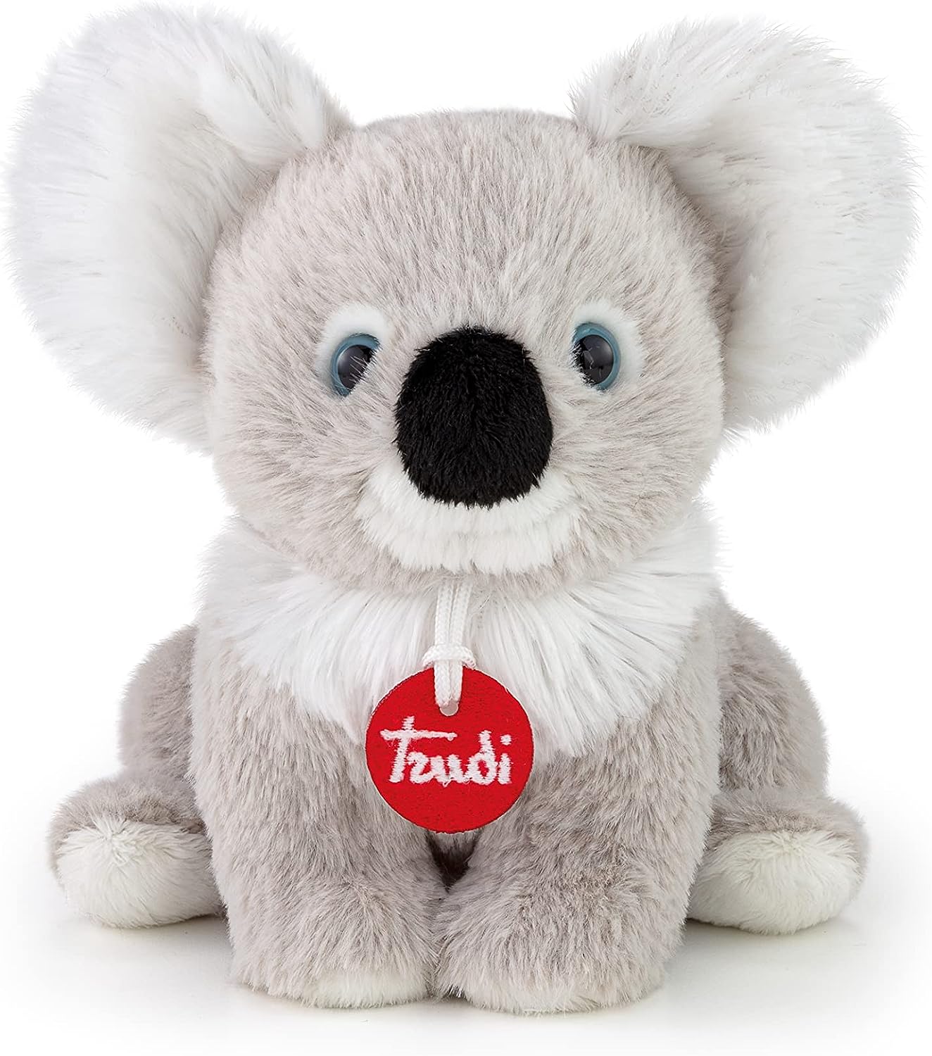 Koala Puppy