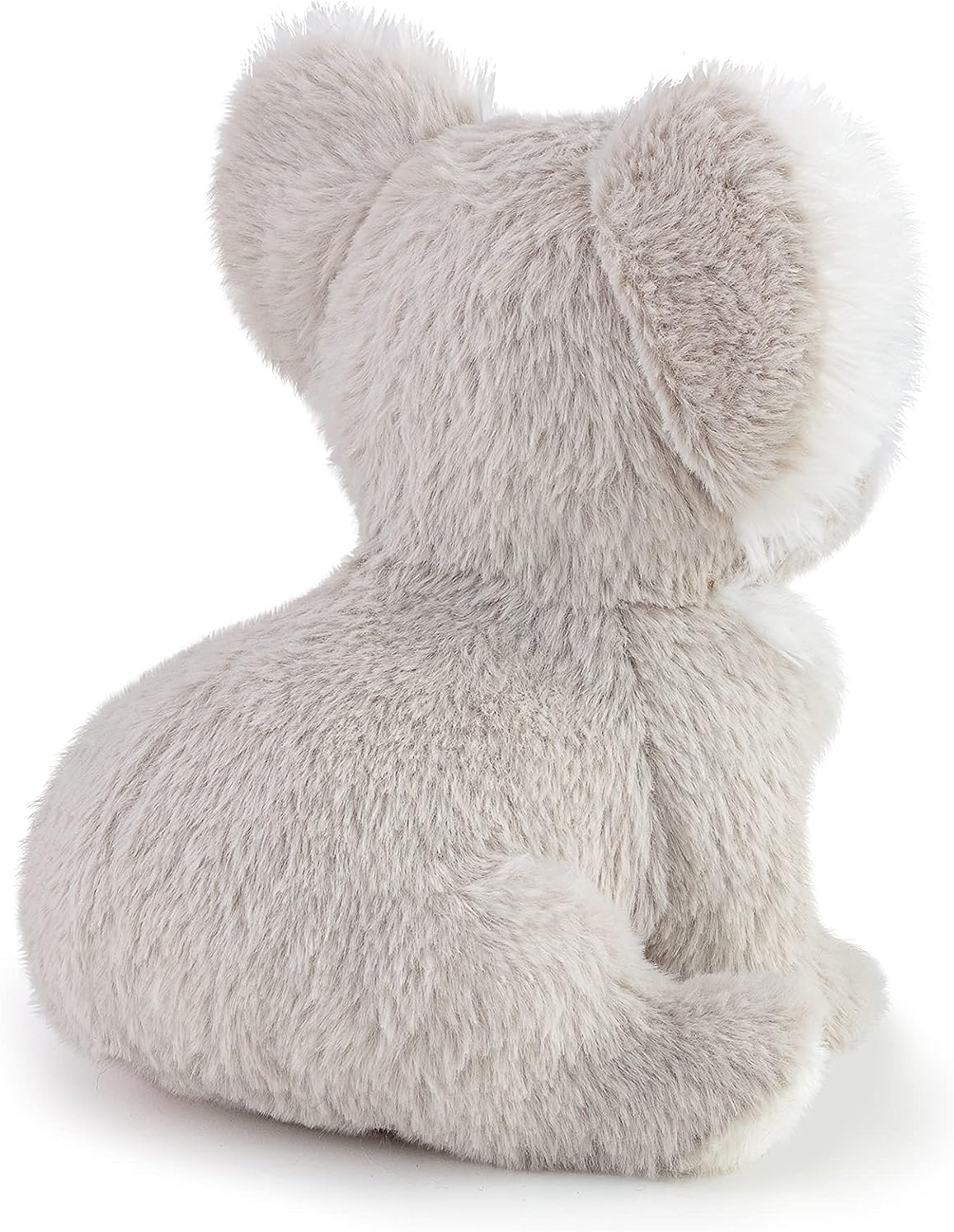 Koala Puppy