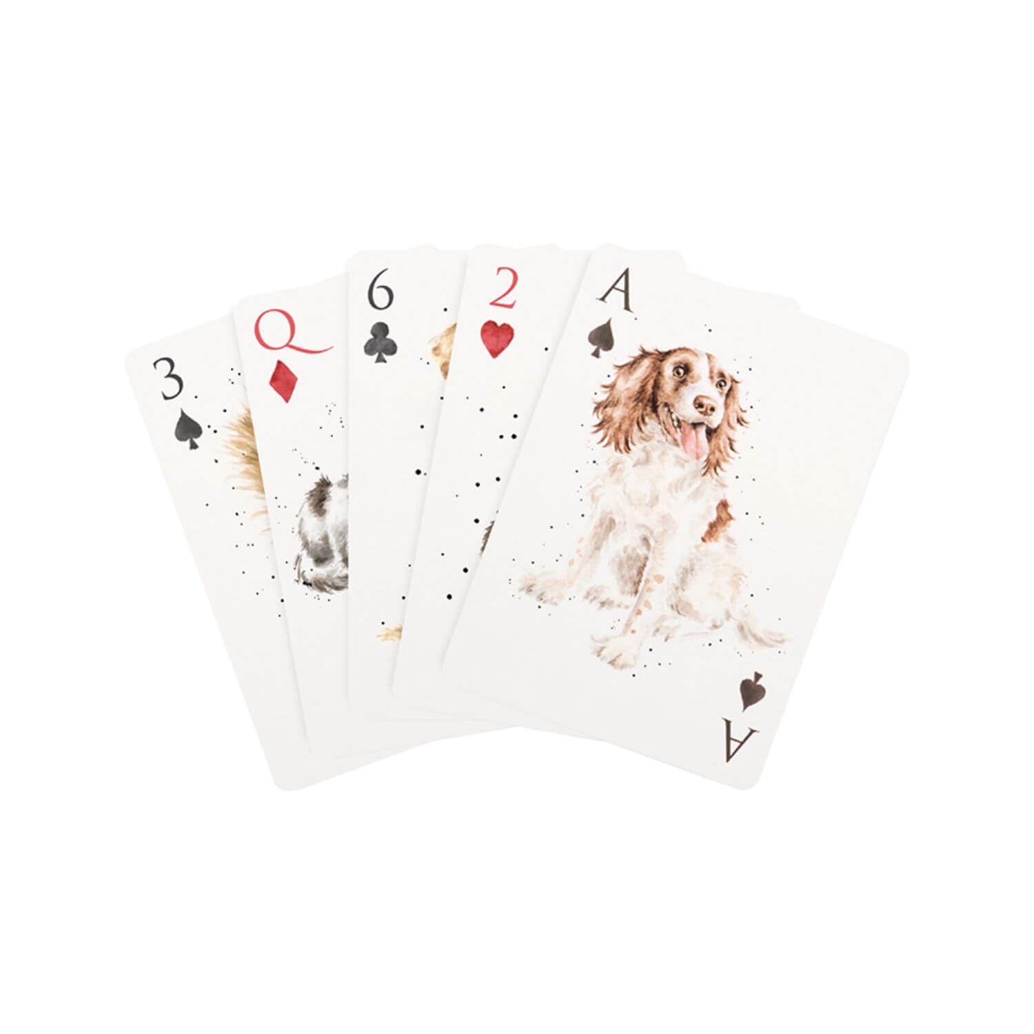 coppia mazzi di carte Ramino - Animali