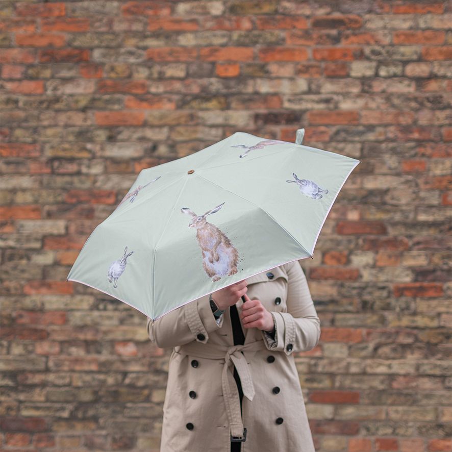 Ombrello lepre - Hare Humbrella