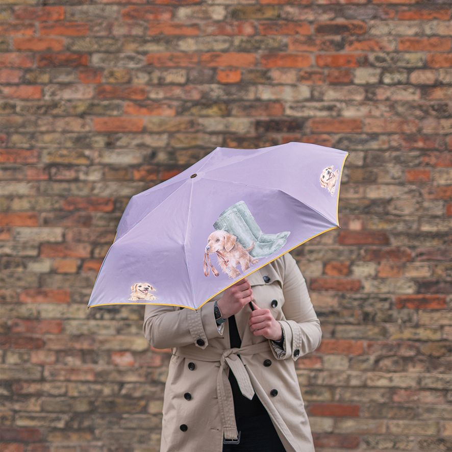 Ombrello Cane - Bee Umbrella