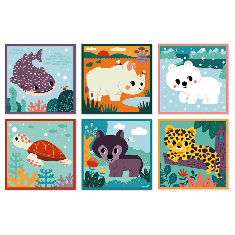 9 cubi degli animali