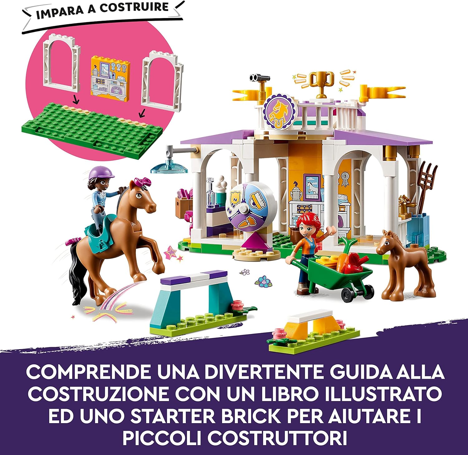 Addestramento equestre