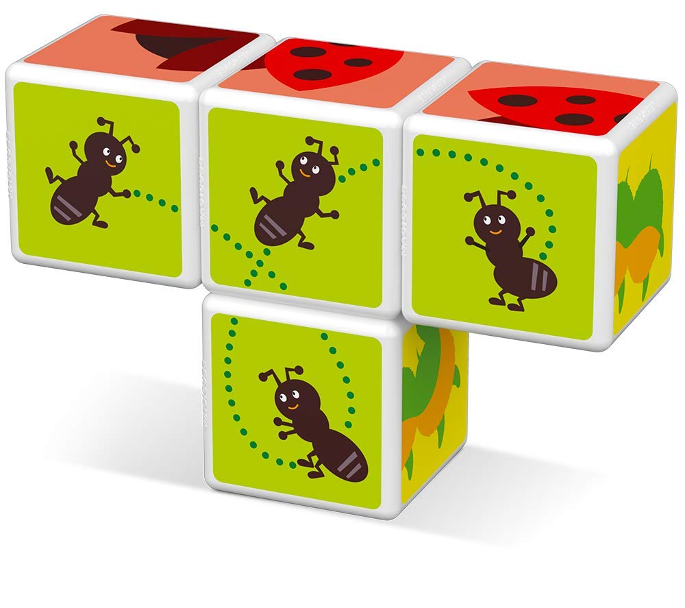 Magic Cube insetti 4 cubi magnetici
