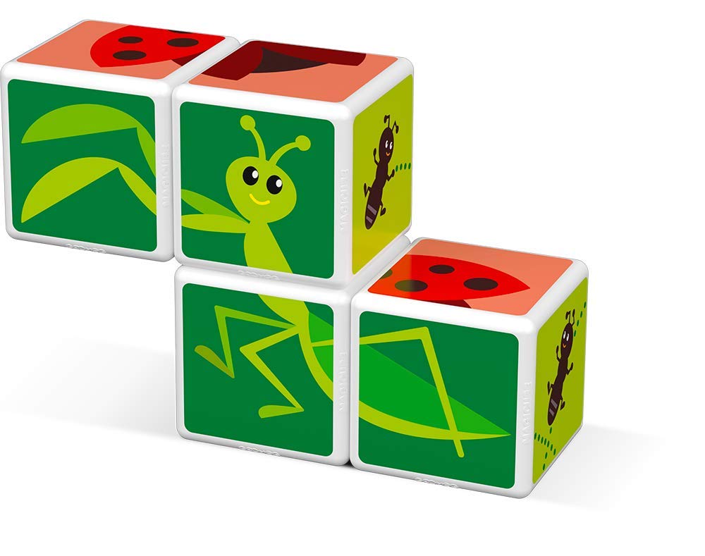 Magic Cube insetti 4 cubi magnetici
