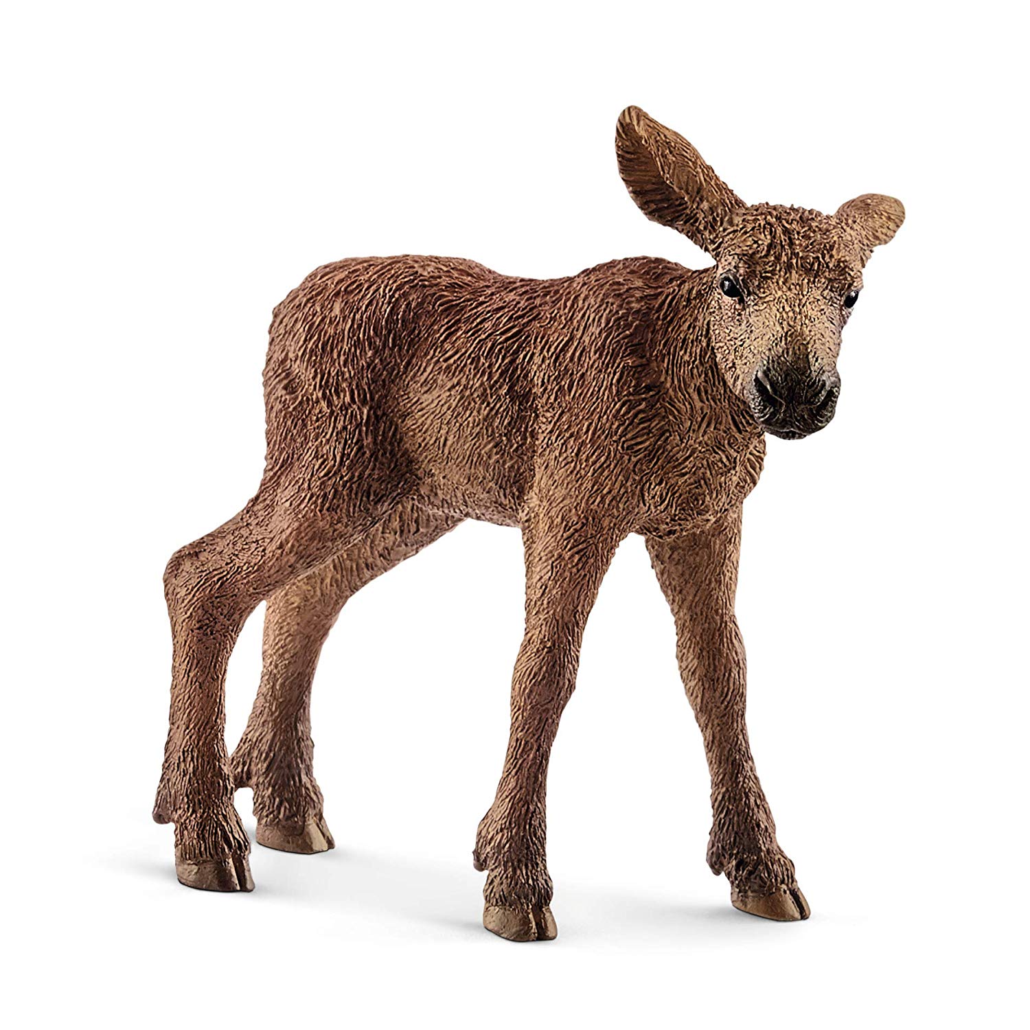 animali del bosco cuccioli