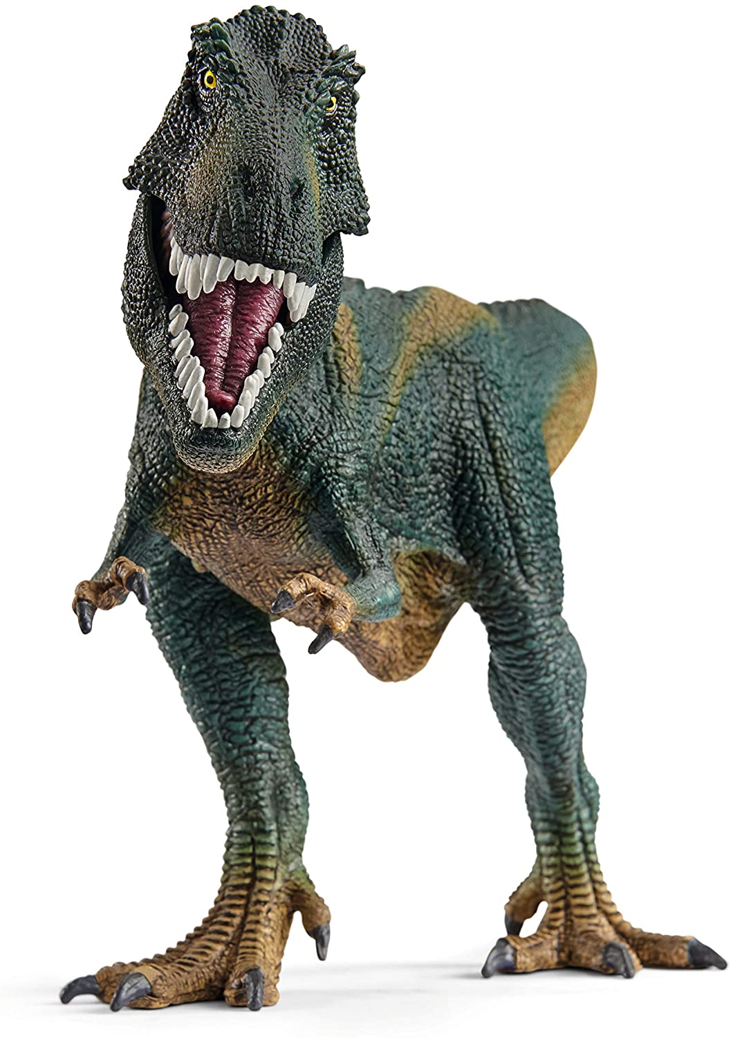 Tyrannosaurus rex 