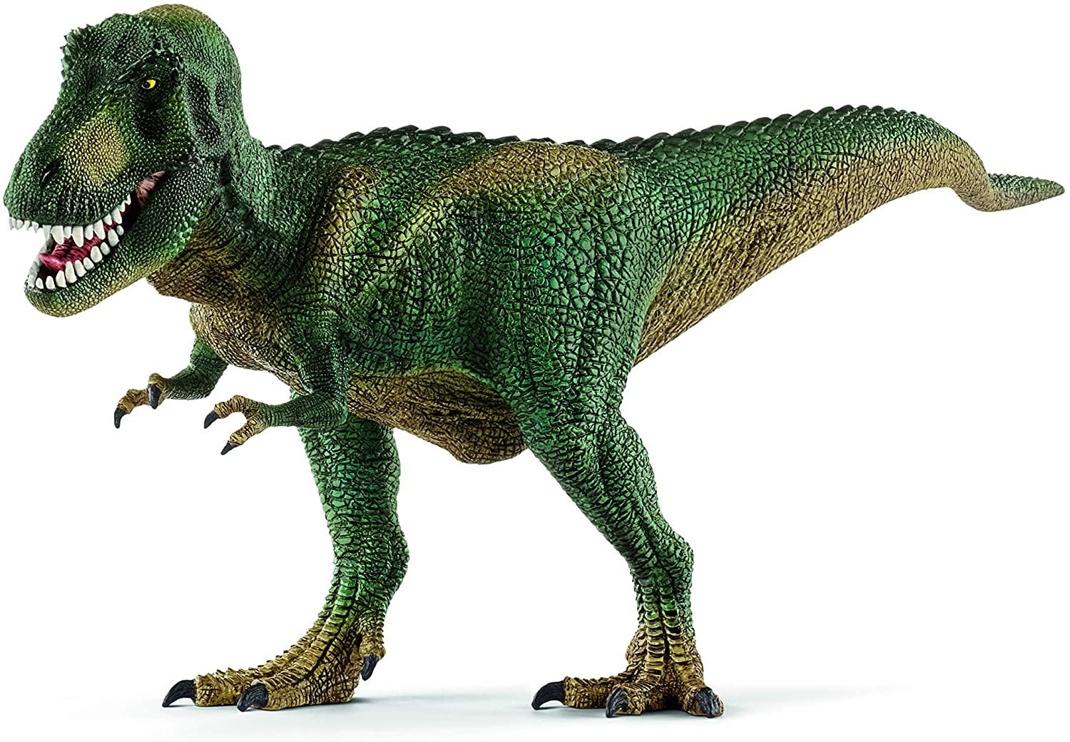 Tyrannosaurus rex 