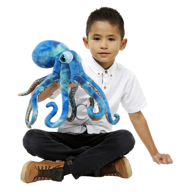Octopus marionetta