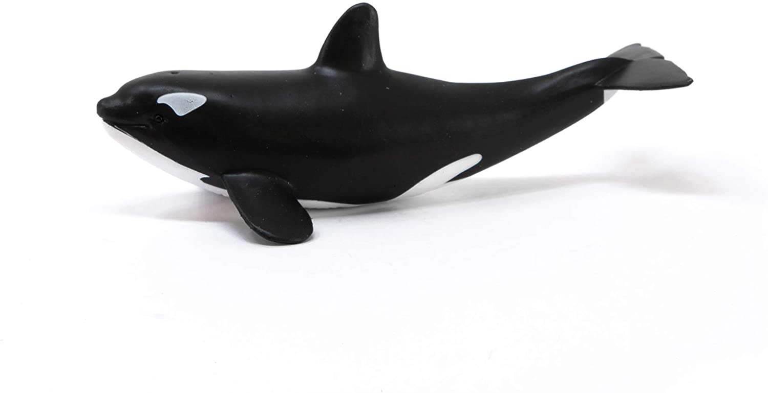 Cucciolo di orca Wild Life