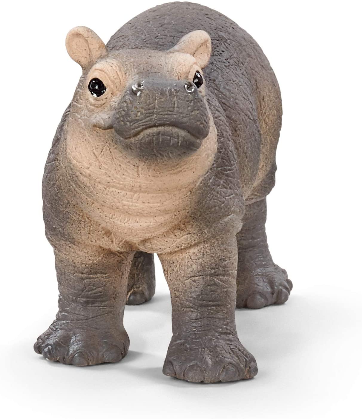 ippopotamo cucciolo