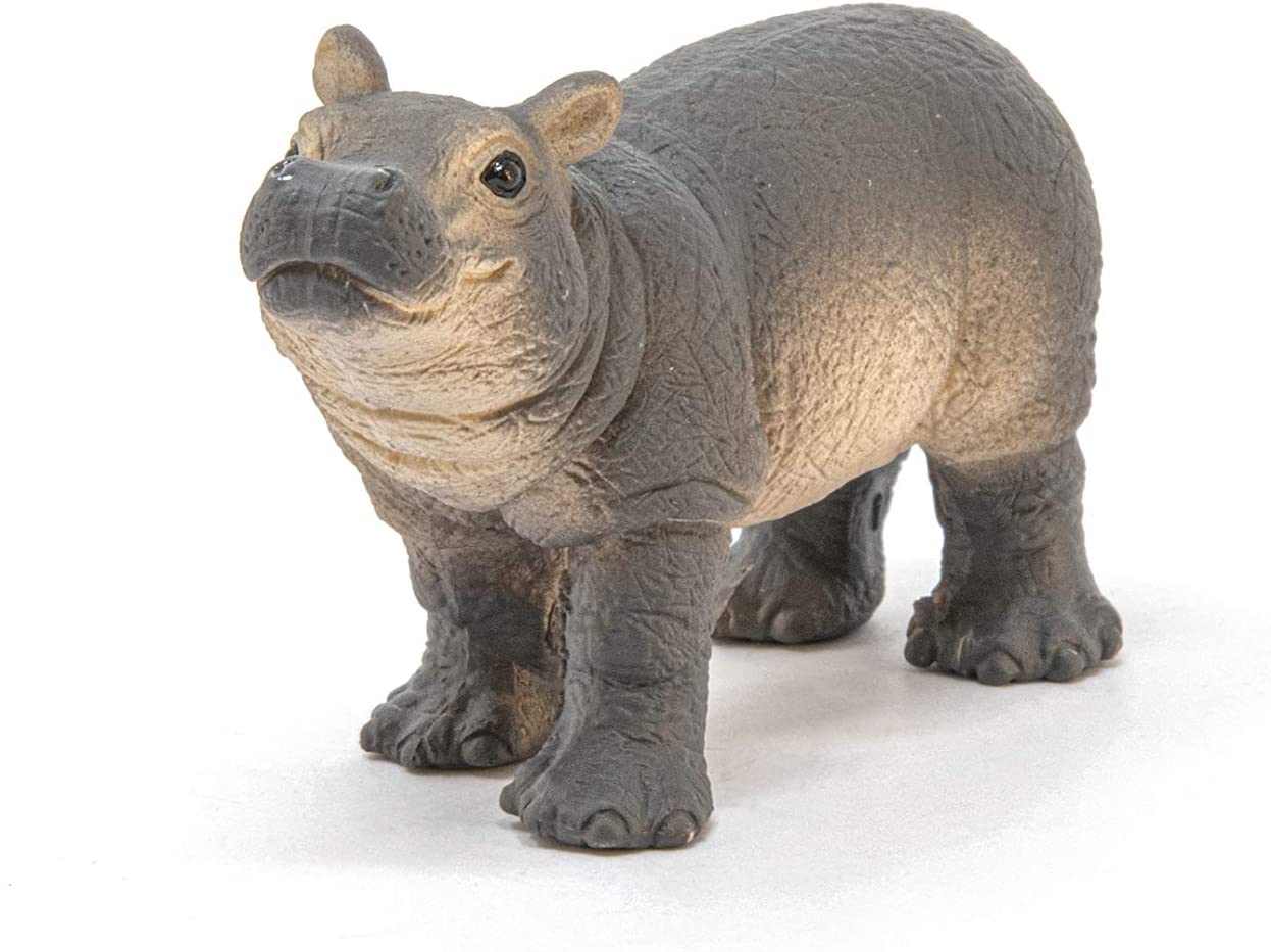 ippopotamo cucciolo