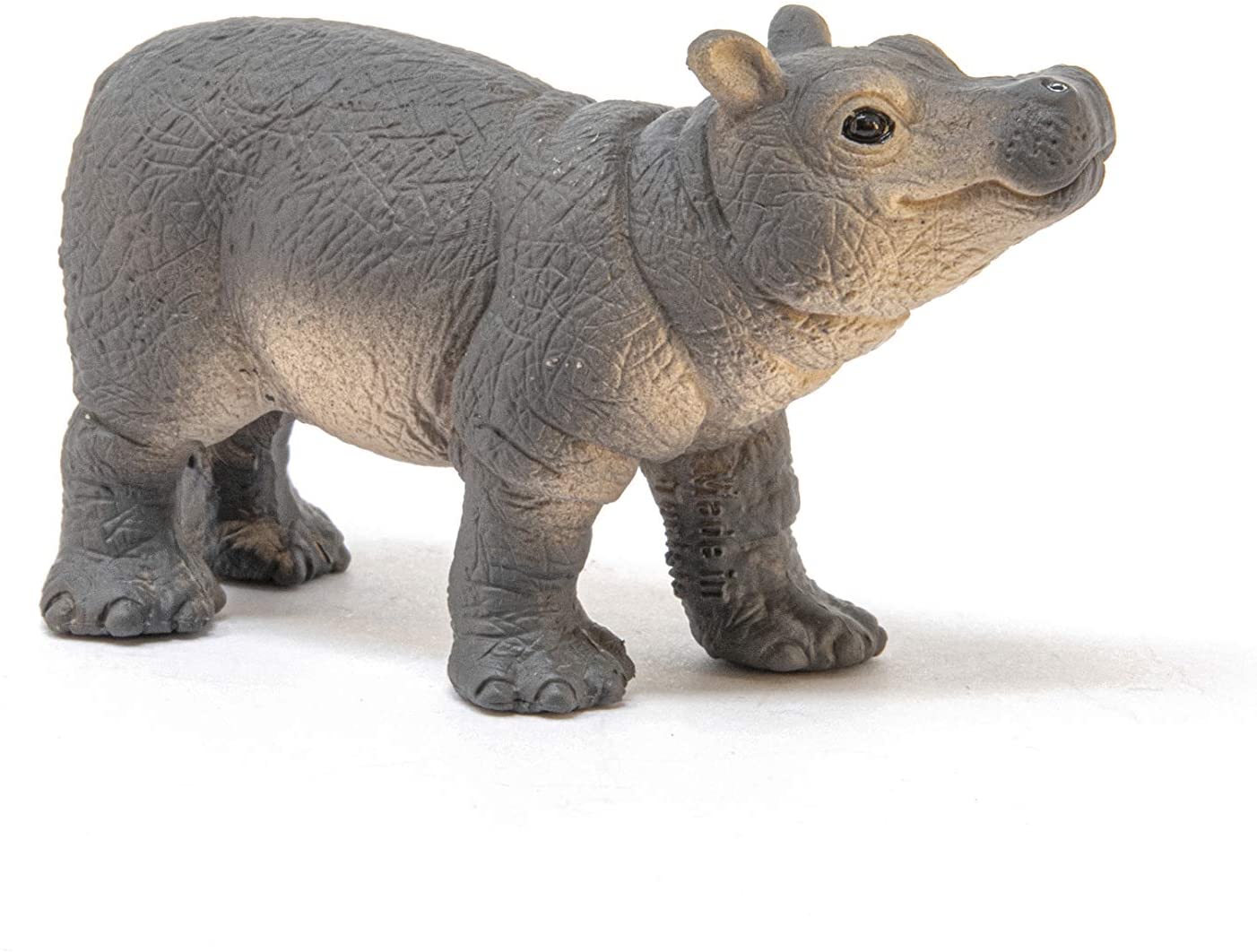 ippopotamo cucciolo