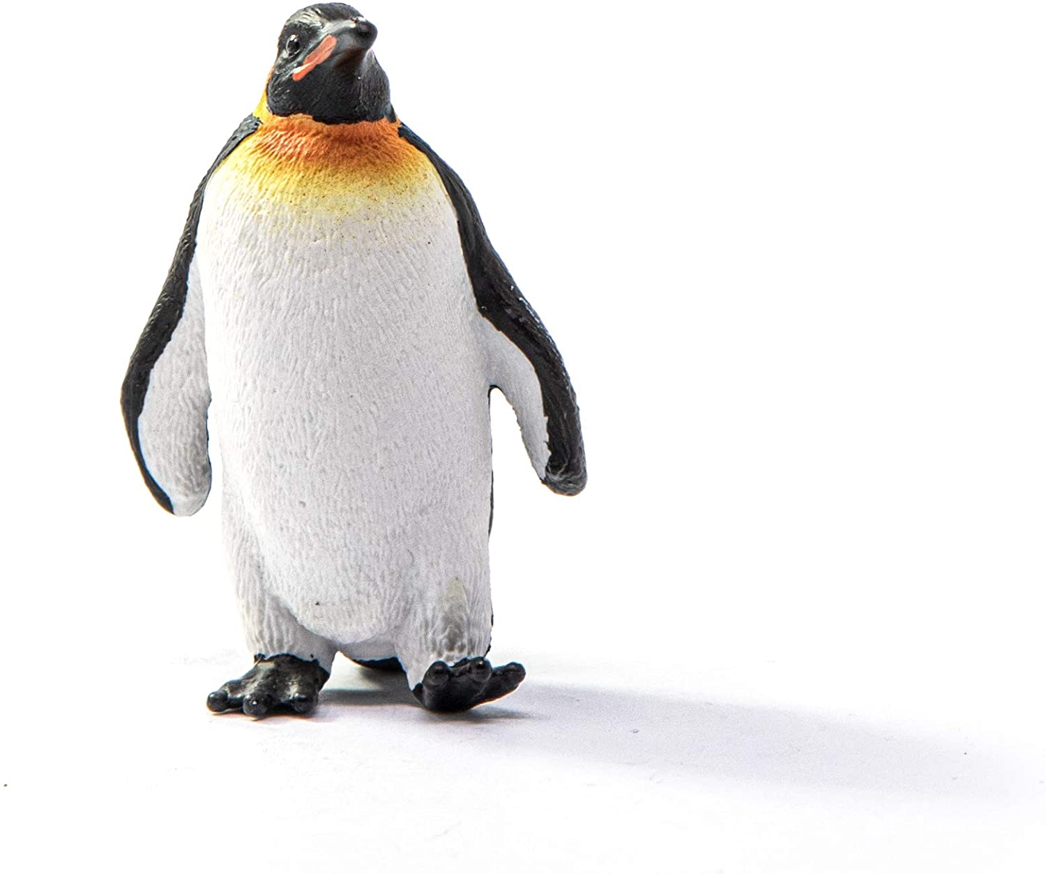 Pinguino imperatore Wild Life