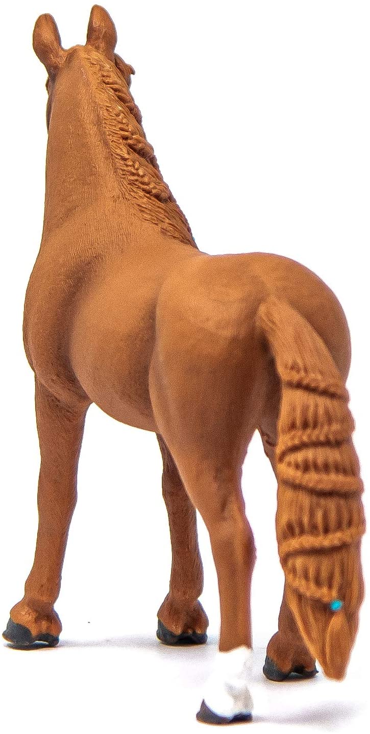 Giumenta di german riding pony Horse Club