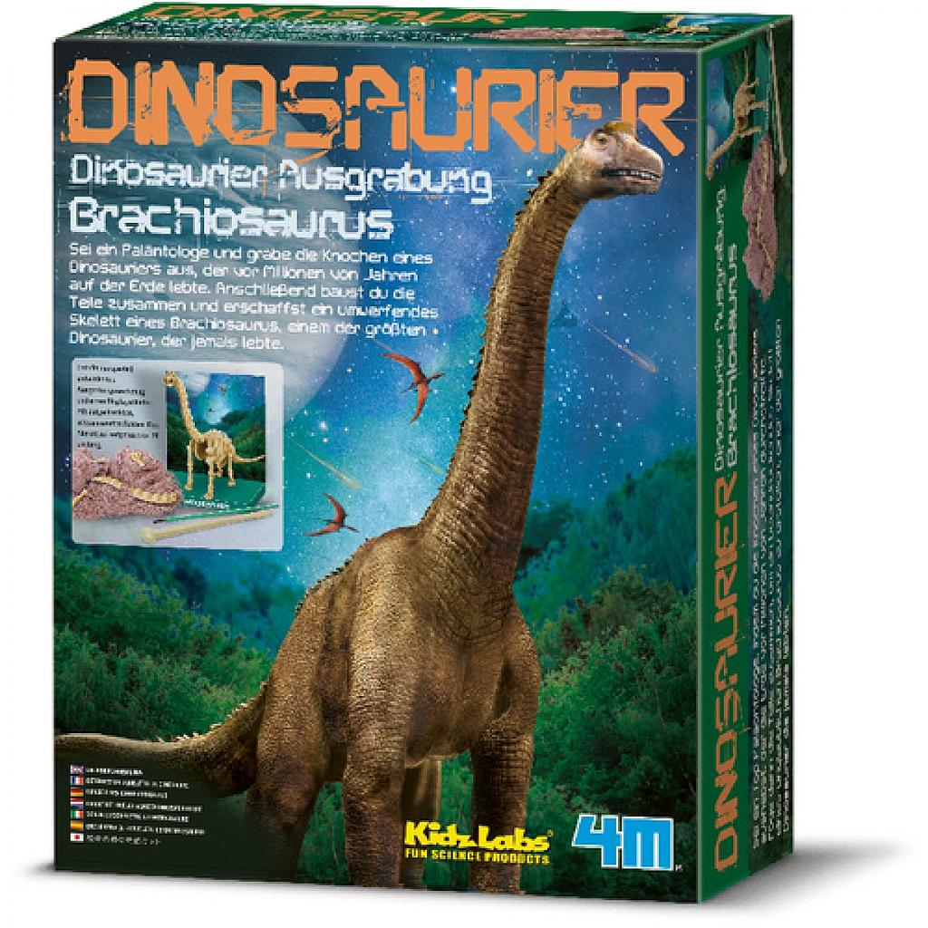 brachiosaurus da scavare