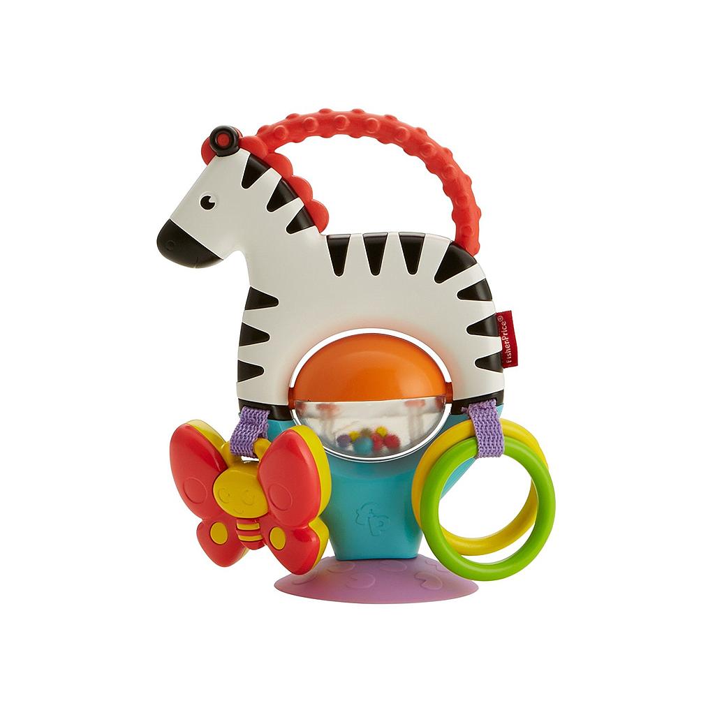 zebra attività