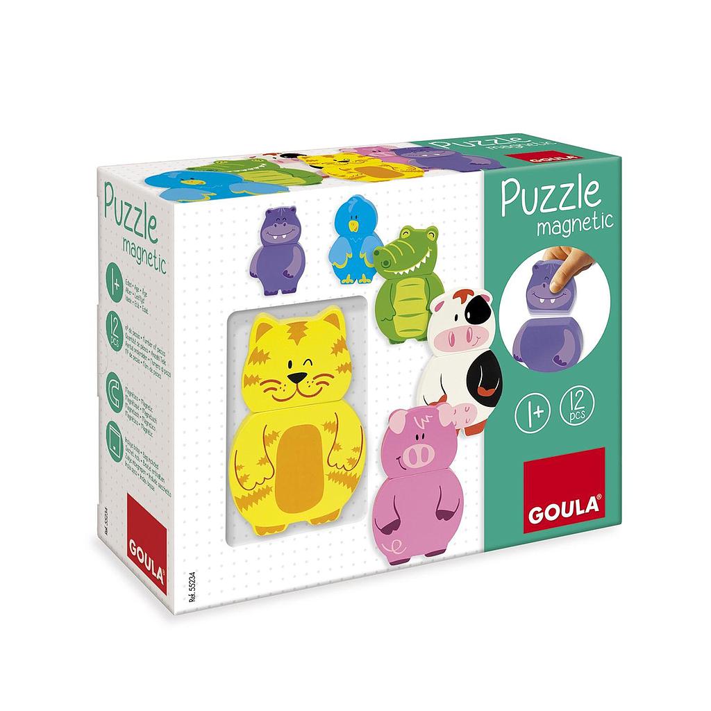 puzzle magnetico