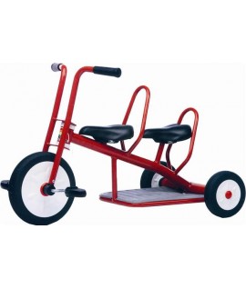 Carry Triciclo 2 posti