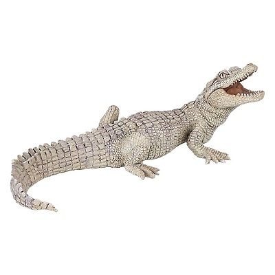 baby coccodrillo bianco