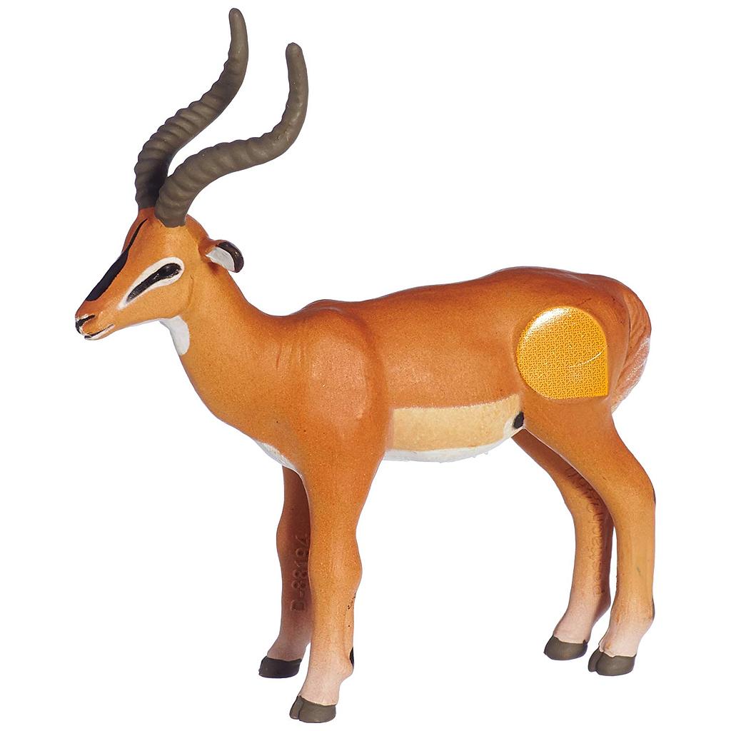 Antilope tiptoi