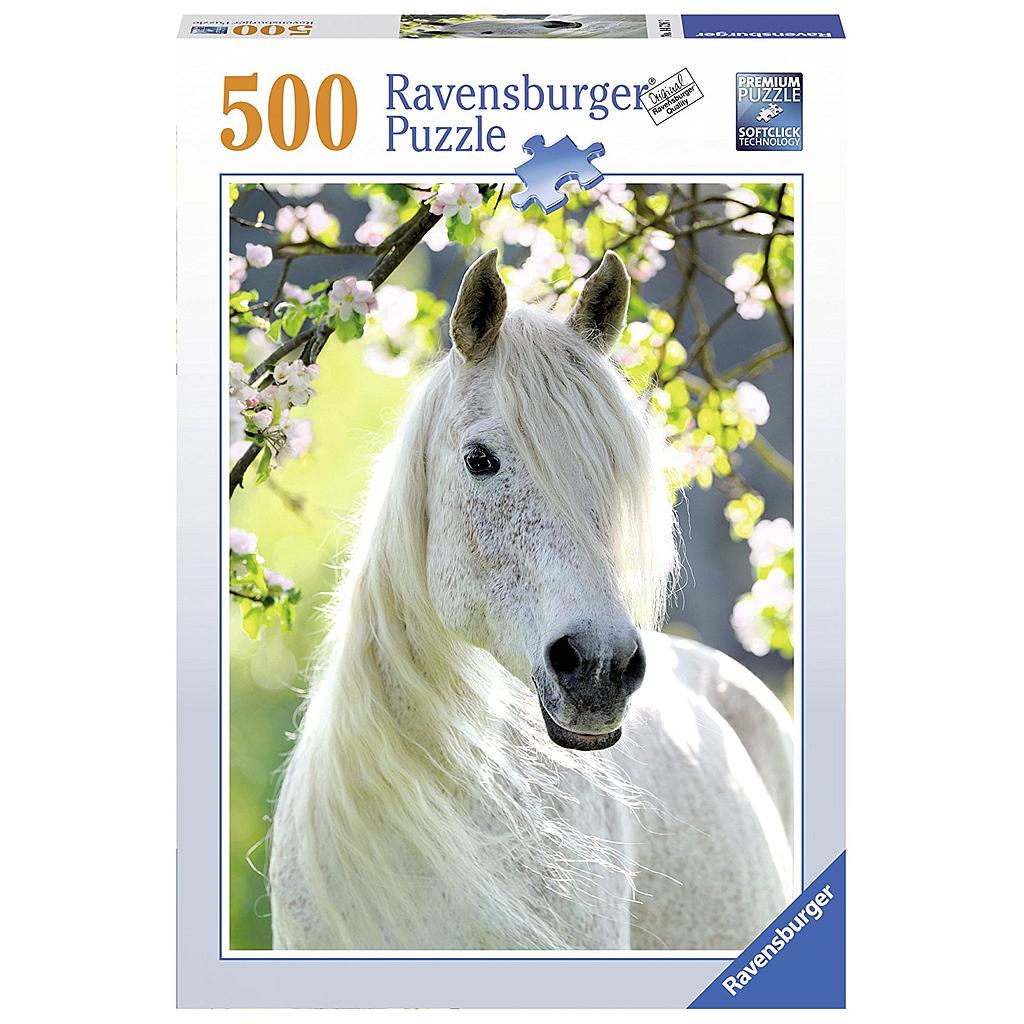 primavera equestre 500pz