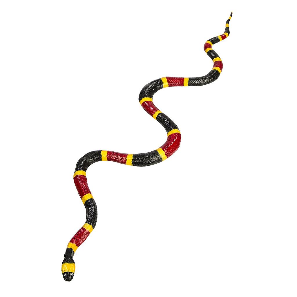 serpente corallo
