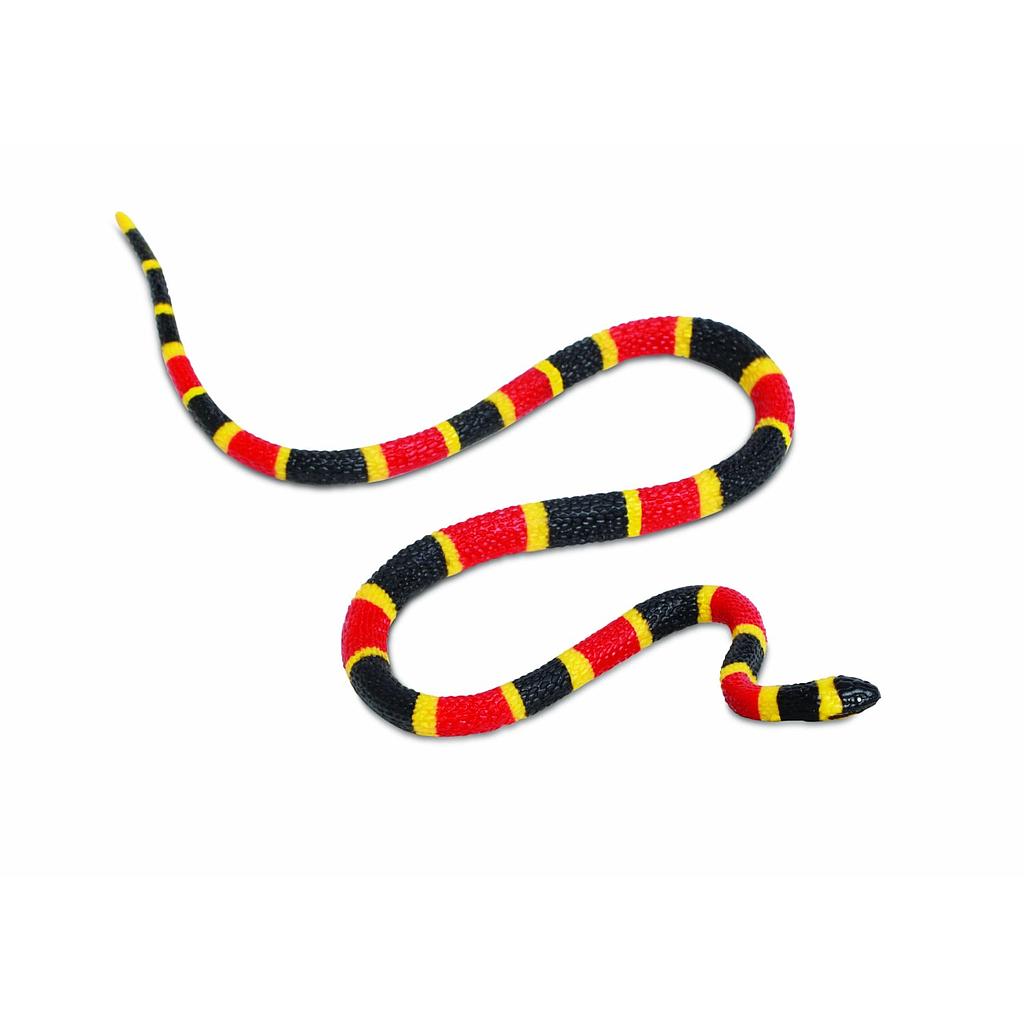 serpente corallo baby
