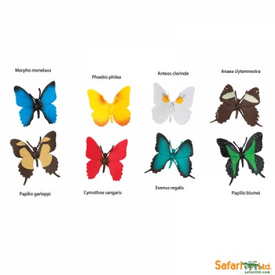 8 farfalle