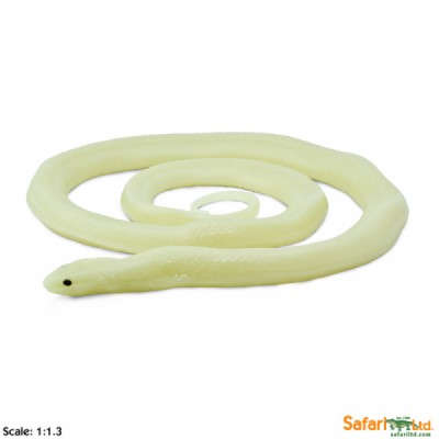 serpente reale fosforescente