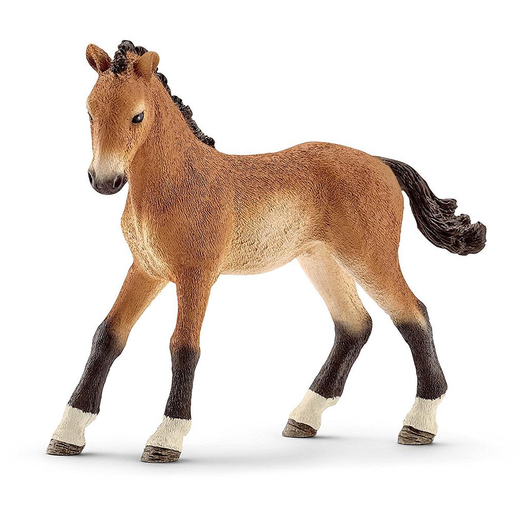 puledro Tennessee Walker