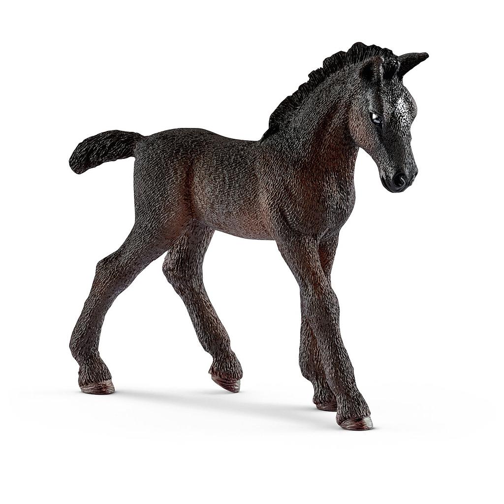 Puledro lipizzano