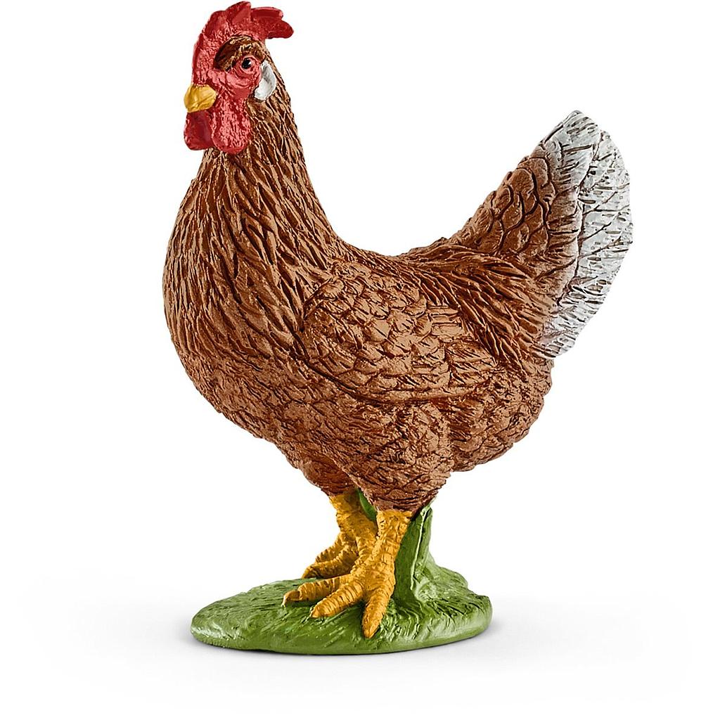 gallina