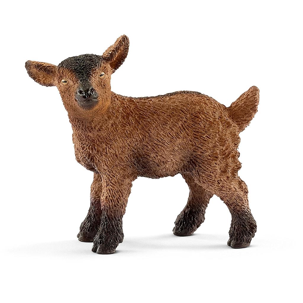 Capretta