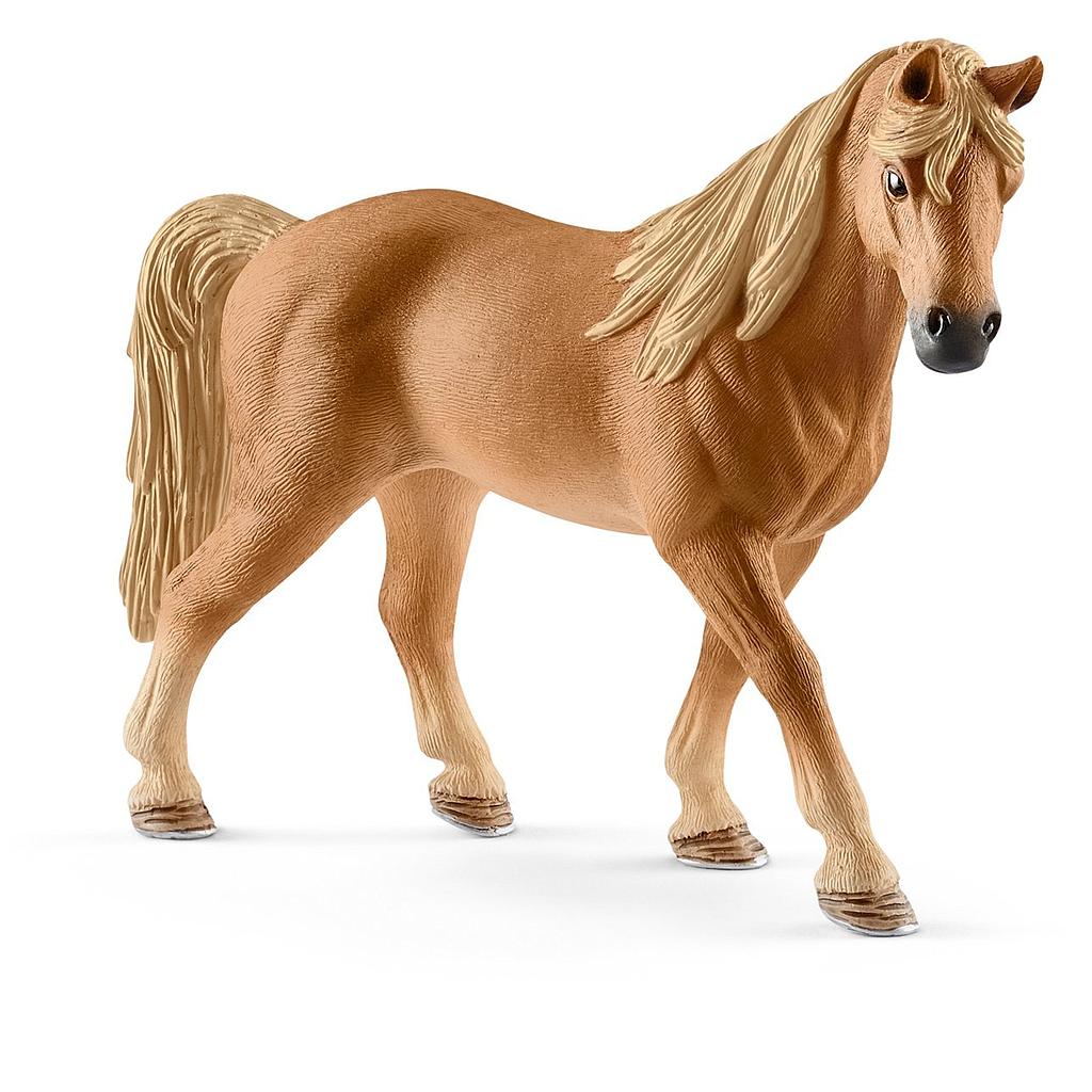 Giumenta tennessee walker
