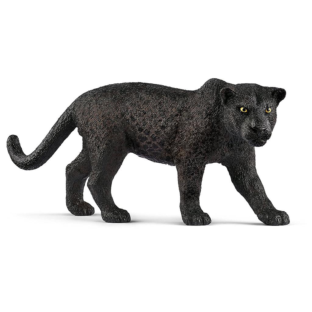 pantera nera